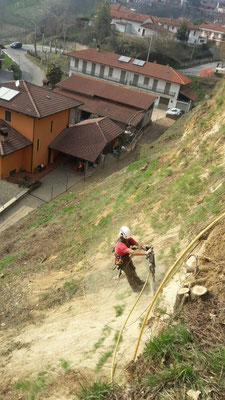 Esecuzione di disbosco e scoticamento in centro abitato - Piemonte - Provincia di Cuneo
