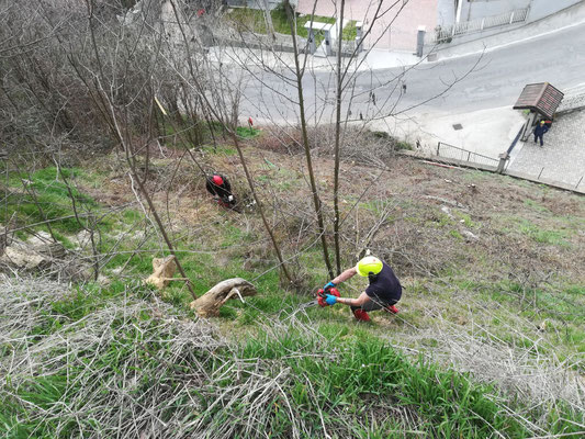 Esecuzione di disbosco e scoticamento in centro abitato - Piemonte - CN