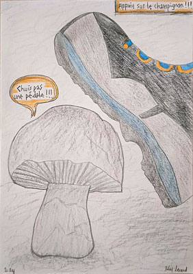 Appuie sur le champignon • crayon
