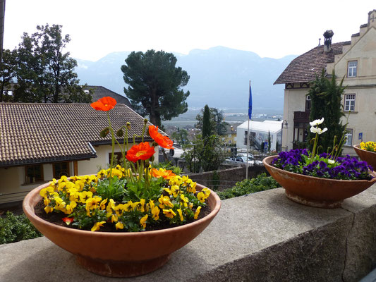 Tramin Südtirol