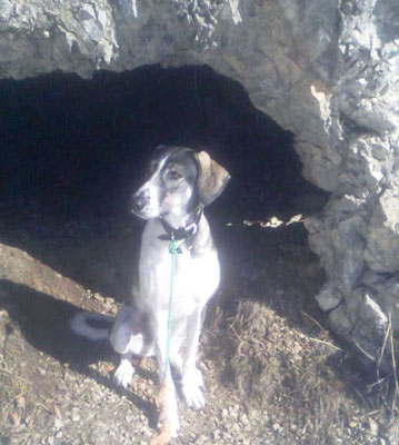 Chilli bei meiner Grotte - Dürnberg