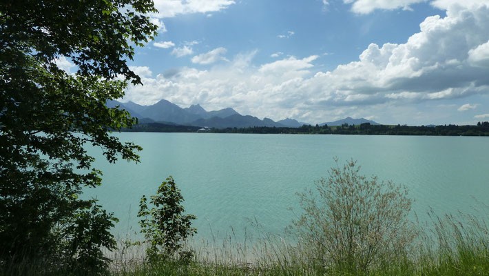 Forggensee