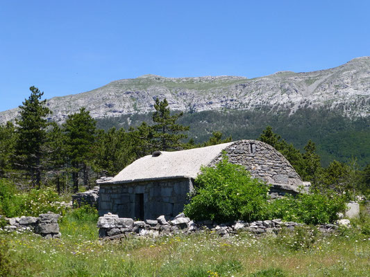 Velica Ruina
