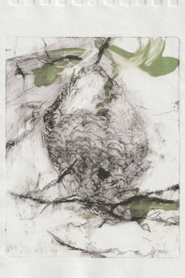 Black Wasps' Nest, 2024, Druck, Motiv 17,5cm x 13,8cm