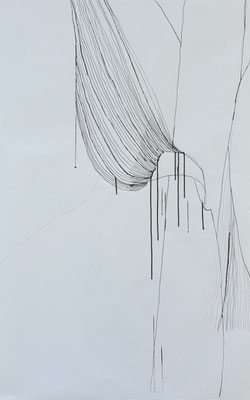 Corn leave, 2024, Graphit/Ink/Paper, 107cm x 69cm