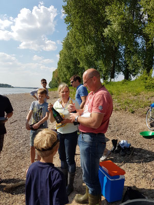 Nachdem JEDER die ersten Rheingoldflitter gewaschen hat gibt es Rheingold Sekt, für die kids GOLDbären.