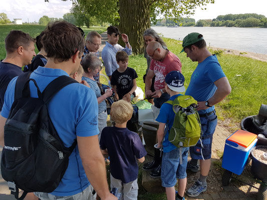 Der Goldwäscher Joachim Best erkärt anschaulich woher das Gold im Rhein kommt und wie man es wäscht.