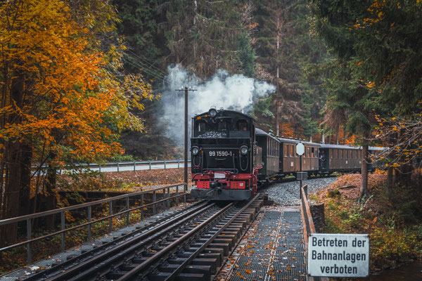 Beatrice Herrmann Fotografie - Preßnitztalbahn