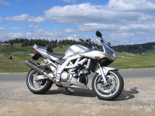 SUZUKI SV1000S (2003), Nr. 1