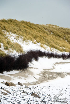 Fotoreise Helgoland - Januar 2015 / Foto: Linda Peinemann