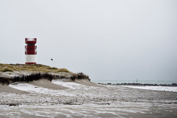 Fotoreise Helgoland - Januar 2015 / Foto: Linda Peinemann