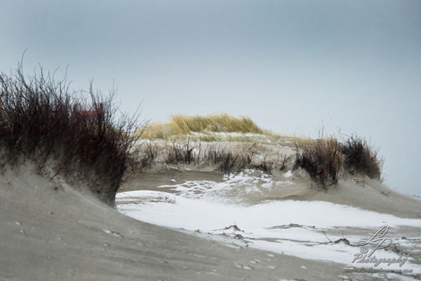 Fotoreise Helgoland - Januar 2015 / Foto: Linda Peinemann
