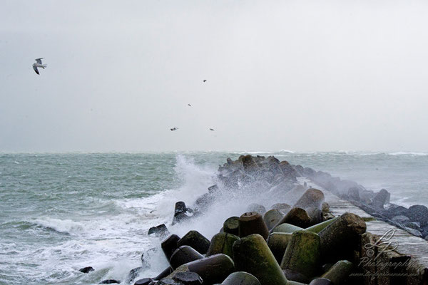 Fotoreise Helgoland - Januar 2015 / Foto: Linda Peinemann