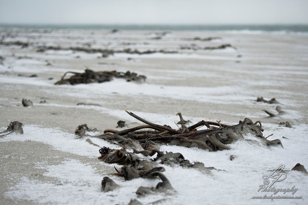 Fotoreise Helgoland - Januar 2015 / Foto: Linda Peinemann