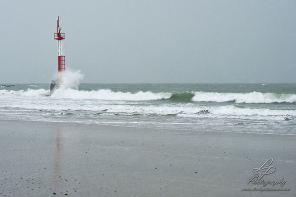 Fotoreise Helgoland - Januar 2015 / Foto: Linda Peinemann