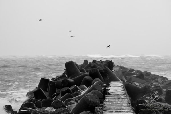 Fotoreise Helgoland - Januar 2015 / Foto: Linda Peinemann