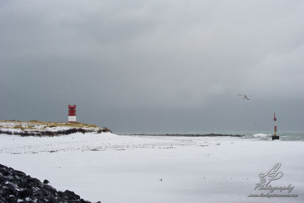 Fotoreise Helgoland - Januar 2015 / Foto: Linda Peinemann