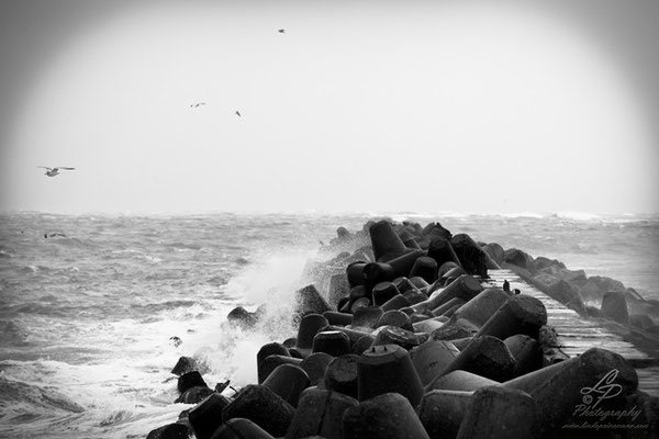 Fotoreise Helgoland - Januar 2015 / Foto: Linda Peinemann
