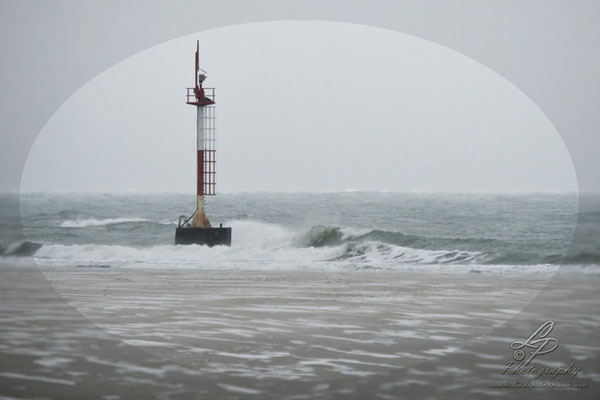 Fotoreise Helgoland - Januar 2015 / Foto: Linda Peinemann
