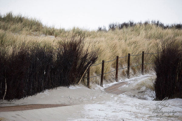 Fotoreise Helgoland - Januar 2015 / Foto: Linda Peinemann