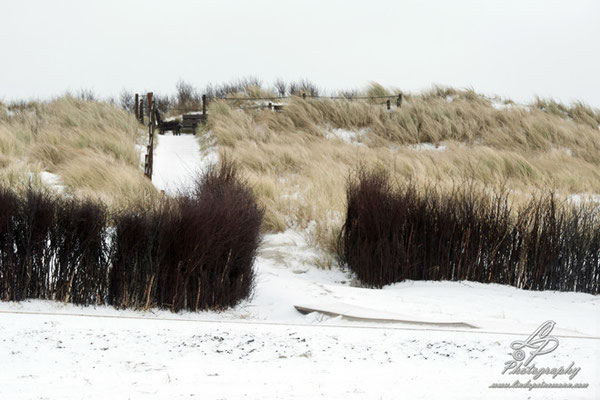 Fotoreise Helgoland - Januar 2015 / Foto: Linda Peinemann