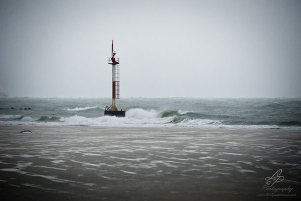 Fotoreise Helgoland - Januar 2015 / Foto: Linda Peinemann