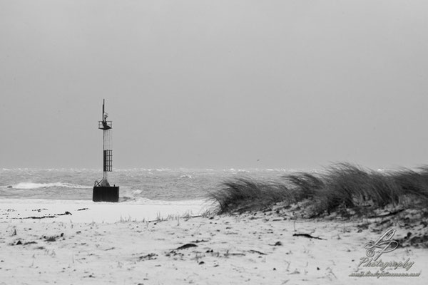 Fotoreise Helgoland - Januar 2015 / Foto: Linda Peinemann