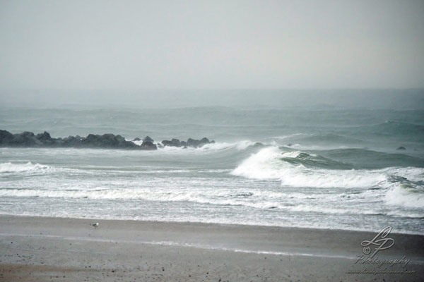 Fotoreise Helgoland - Januar 2015 / Foto: Linda Peinemann