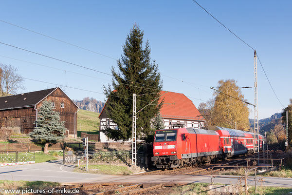 146 011 am 1.11.2015 mit S1 nach Bad Schandau bei Rathen
