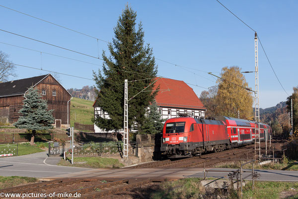 182 022 am 1.11.2015 mit S1 nach Bad Schandau bei Rathen