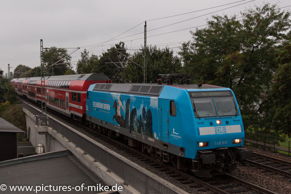 146 013 am 18.9.2016 in Pirna mit S1 nach Bad Schandau