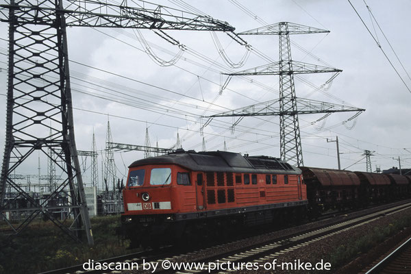 232 617 am 13.8.2006 durch Dresden-Zschachwitz mit einem Getreidezug