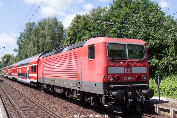 143 116 am 28.6.2015 in Krippen mit S1 von Schöna nach Meissen