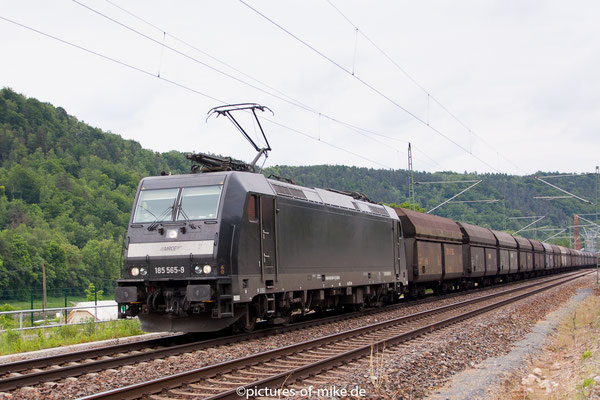 185 565 von MRCE am 25.5.2015 in Königstein