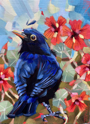 BO160 Blackbird & Nasturtiums 8"x6" in frame 11"x9" £175