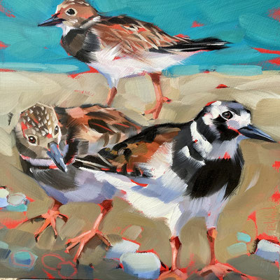 BO96   Turnstones   sold   print available  £65