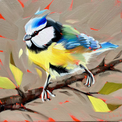 BO128. Little Bluetit.  6"in 9" frame £150