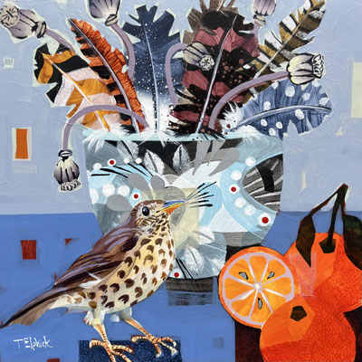 SLB116 Song Thrush & Oranges 12" in 15" frame £400