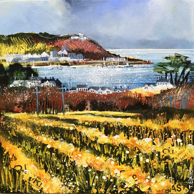 IOS23 Daffodils, St. Marys sold print available
