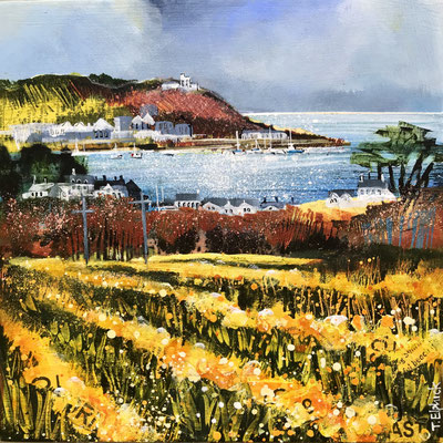 IOS23 Daffodils, St. Marys sold print available