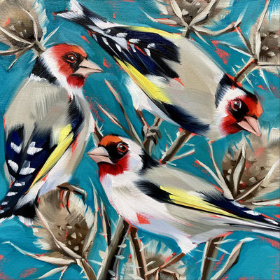 BO80    Goldfinches & Teasels    SOLD   Print £65