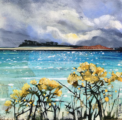 IOS22 Scilly Gorse 2 sold print available