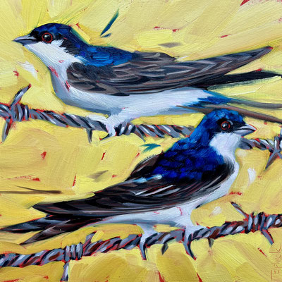 BO121. House Martins on the Wire.  8" in 11' frame £195