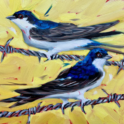 BO121. House Martins on the Wire.  8" in 11' frame £175