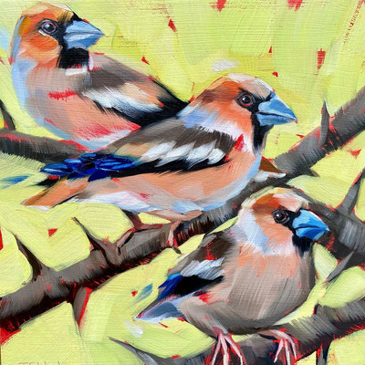 BO89   Hawfinches   Original   sold    Print Available