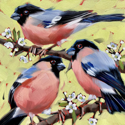 BO102.  Bullfinches. sold. print available