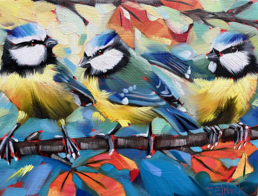 BO163 Blue Tit Trio in Autumn sold print available
