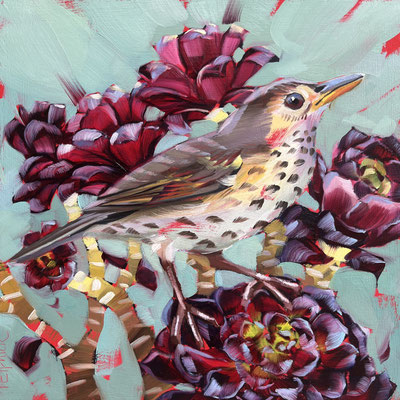 BO159 Thrush & Aeonium Sold Print available