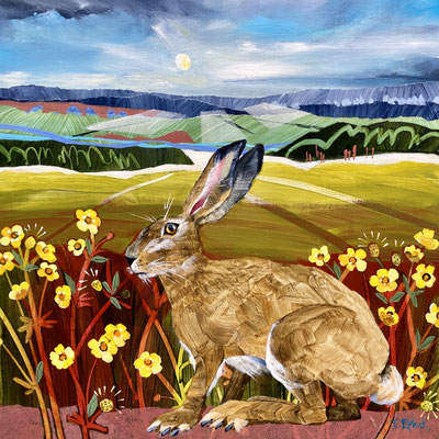 M33  Hare & Buttercups    Original sold   print available. 