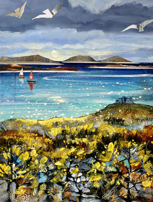 IOS35 Gorse on Beacon Hill, Tresco SOLD    print available